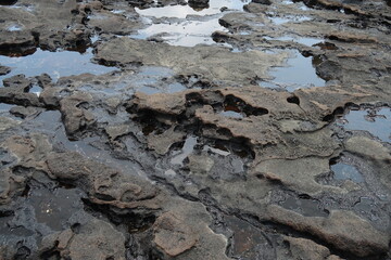 hardened volcanic lava on the coast