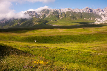 Mountain pasture in summer, natural landscape