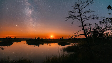 4K Yelnya Swamp Nature Landscape. Night Starry Sky Milky Way Galaxy With Glowing Stars And Moon. Famous Natural Landmark Time Lapse Time-Lapse Nature Marsh Hyperlapse. Night Sky Reflection In Water.
