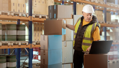 Man in industrial warehouse. Storekeeper with laptop makes revision in storage facility. Storage...