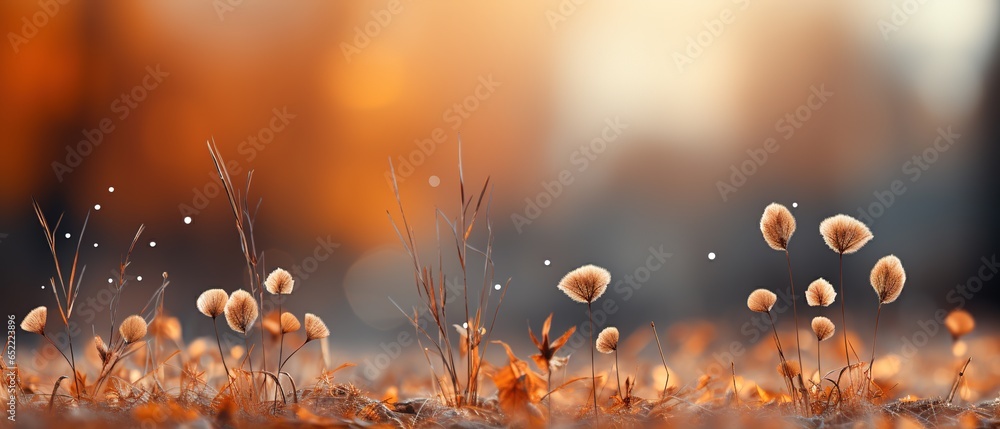 Poster falling autumn background with bokeh effect, abstract design with copy space.