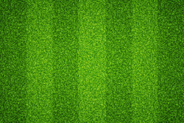 Football field texture green lawn. Vector