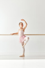 Rear view portrait of small adorable ballerina dancer girl in rose tutu ballet dress on pointe posing and performing dance elements in studio, dance school © Lustre Art Group 