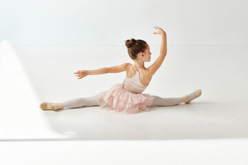Back view portrait of small adorable ballerina dancer girl sits in twine n rose tutu ballet dress in dance hall, against on white studio background. © Lustre Art Group 