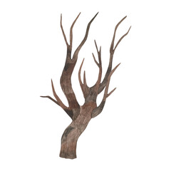 Watercolor drawing of a tree without leaves. Autumn and winter nature. Hand drawn.
