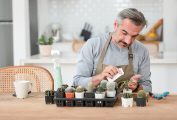 Portrait of Mature Caucasian man smiling friendly taking care of his indoor cactus in kitchen room at home. New normal lifestyle, Hobby of plant, gardener's life hack. Retired male Care for his Plant.