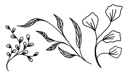 Obraz premium Floral branch and minimalist flowers for logo or tattoo. Hand drawn line wedding herb, elegant leaves for invitation save the date card. Botanical rustic trendy