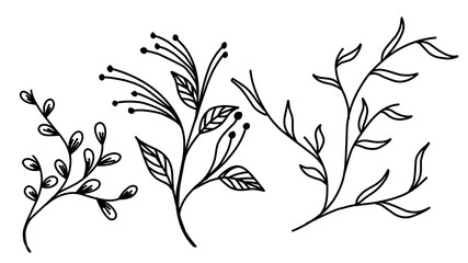 Floral branch and minimalist flowers for logo or tattoo. Hand drawn line wedding herb, elegant leaves for invitation save the date card. Botanical rustic trendy