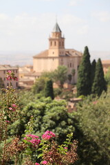 Fototapeta na wymiar Alhambra, Grenade, Espagne
