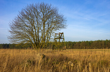 Mecklenburgische Feldlandschaft