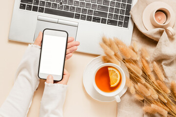 Hands hold mobile phone with white screen, laptop background with tea, candle, lagurus grass on...