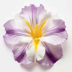 Foto op Plexiglas One Iris flower isolated on white background, top view. Floral flowers pattern. © DenisNata