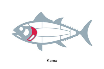 Kama. Tuna Cuts line diagram.  Japanese style