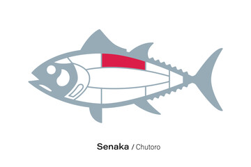 Senaka. Tuna Cuts line diagram.  Japanese style