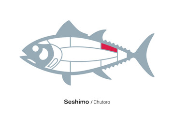 Seshimo Chutoro. Tuna Cuts line diagram.  Japanese style