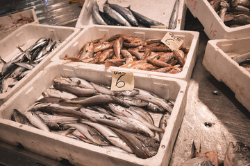 Fischmarkt, frischer Fisch