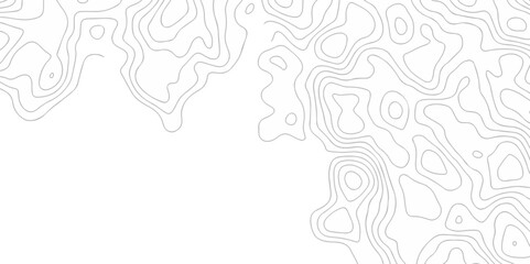 Seamless pattern with lines Topography contour map on white background, Topographic contour lines. Background lines Topographic map. Geographic mountain relief.