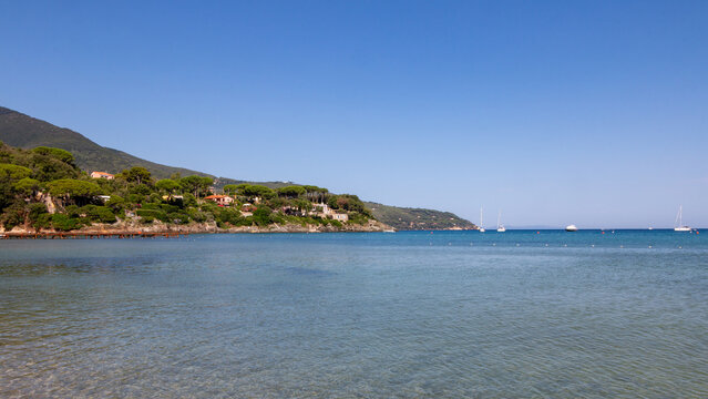 view of the beautiful Procchio beach on Elba island