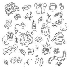 Set of hand drawn autumn elements isolated on a white background. Autumn doodle vector set.