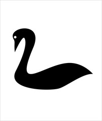 black swan vector