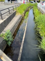 鶴岡の水路