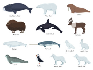 Set of arctic animals with inscriptions