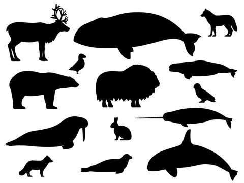 Set of arctic animals silhouettes