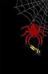 Halloween Blank background with Spider