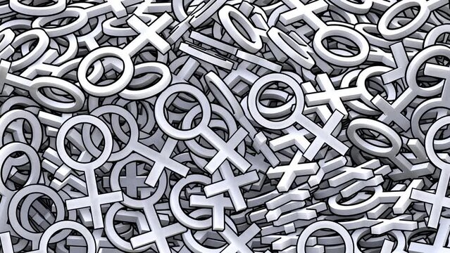 Pictogram Female Gender Symbols Sign Animation Transition Transparent Background Alpha Channel