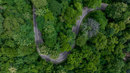 Obraz premium Aerial top view road in green tree forest, Top view from drone rural road, mountains, forest. Beautiful landscape with roadway, Aerial view of road in the middle the forest, Road curve on mountain.