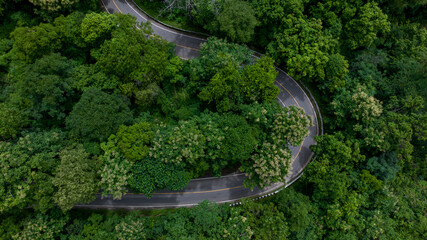 Aerial top view road in green tree forest, Top view from drone rural road, mountains, forest. Beautiful landscape with roadway, Aerial view of road in the middle the forest, Road curve on mountain.