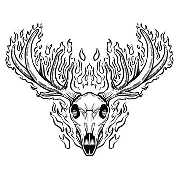 Deer skull on fire.Illustration deer .Design fire coloring page