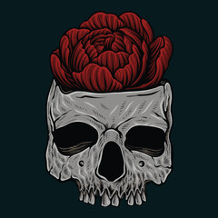 skull with rose flower vintage design vecor illustration