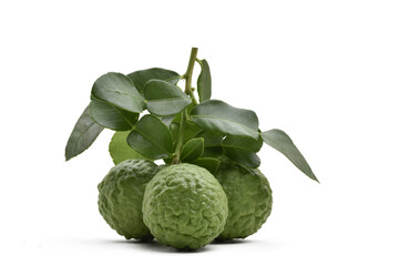 Kaffir lime isolated on white background,popular fruit in Thailand, herb ,clipping path