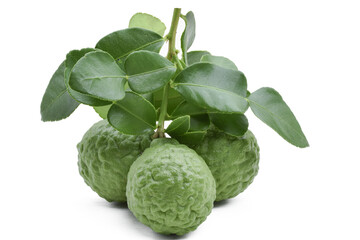 Kaffir lime isolated on white background,popular fruit in Thailand, herb ,clipping path