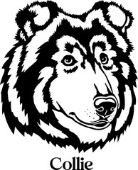 Collie Dog silhouette monogram Dog breed. Dog face 