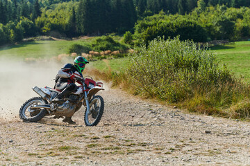 Fototapeta premium A professional motocross rider exhilaratingly riding a treacherous off-road forest trail on their motorcycle.