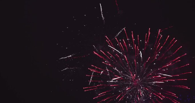 Firework show in the sky. The colors are red, white and blue