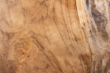 Texture of teak brown wood board