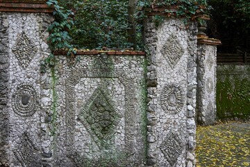 Exterior building wall featuring vibrant green moss and other plants growing along its surface