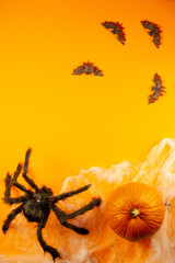 Halloween holiday concept. Spider and pumpkin on orange background. Top view