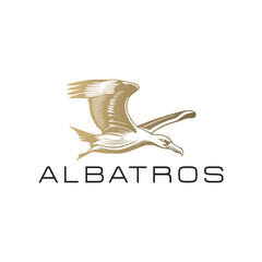albatros  logo design vector icon symbol