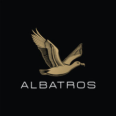 albatros  logo design 
