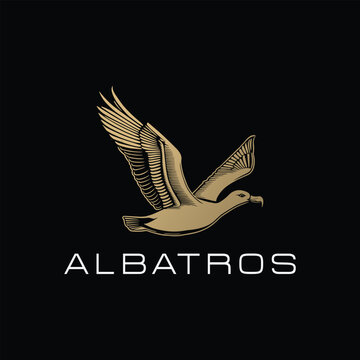 albatros logo design © box file
