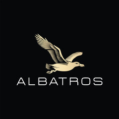 simple albatros  logo design vector icon