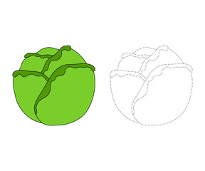 Lettuce. Coloring page or coloring book for children, Lettuce vector illustration. Isolated white background.