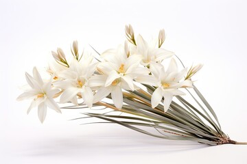 A harmonious bouquet of white lilies, symbolizing the beauty of nature in a fresh and elegant arrangement.
