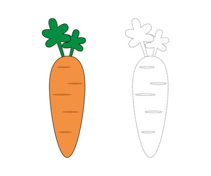 Carrots. Coloring page or coloring book for children, Carrots vector illustration. Isolated white background.