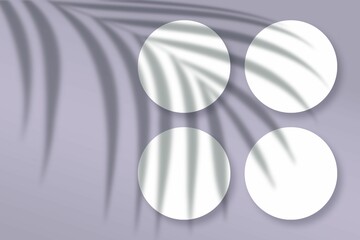 Illustration of abstract shadows of plants on a background with blank round frames with copy space