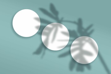 Illustration of abstract shadows of plants on a background with blank round frames with copy space